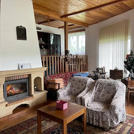 Casa Adelina Villa Valea Lunga-Cricov Екстериор снимка