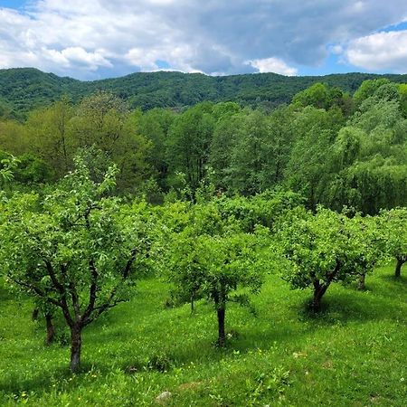 Casa Adelina Villa Valea Lunga-Cricov Екстериор снимка