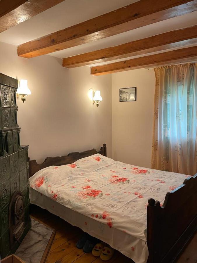 Casa Adelina Villa Valea Lunga-Cricov Екстериор снимка