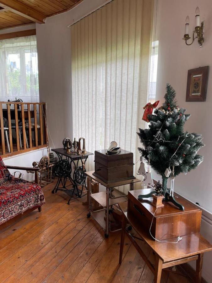 Casa Adelina Villa Valea Lunga-Cricov Екстериор снимка