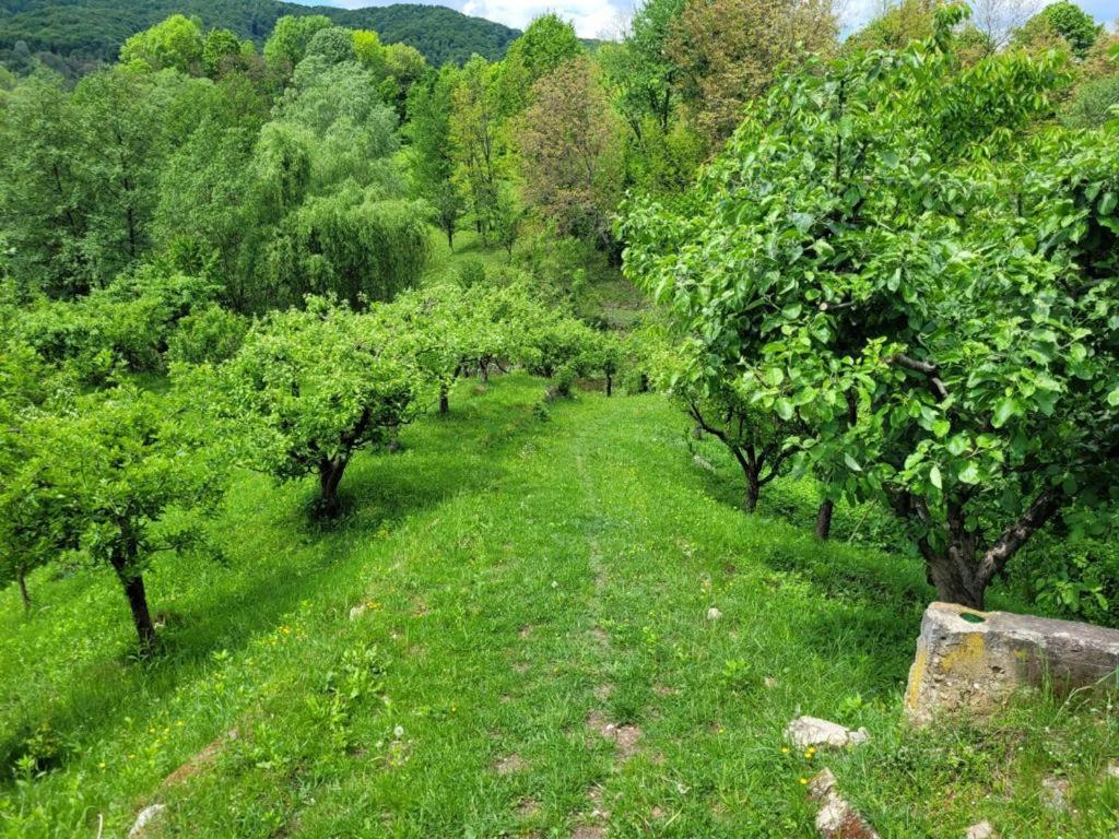 Casa Adelina Villa Valea Lunga-Cricov Екстериор снимка