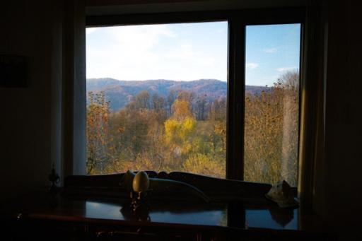 Casa Adelina Villa Valea Lunga-Cricov Екстериор снимка