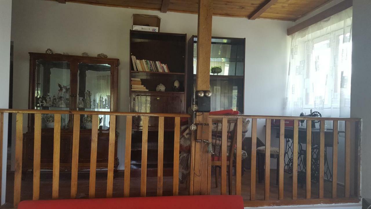 Casa Adelina Villa Valea Lunga-Cricov Екстериор снимка