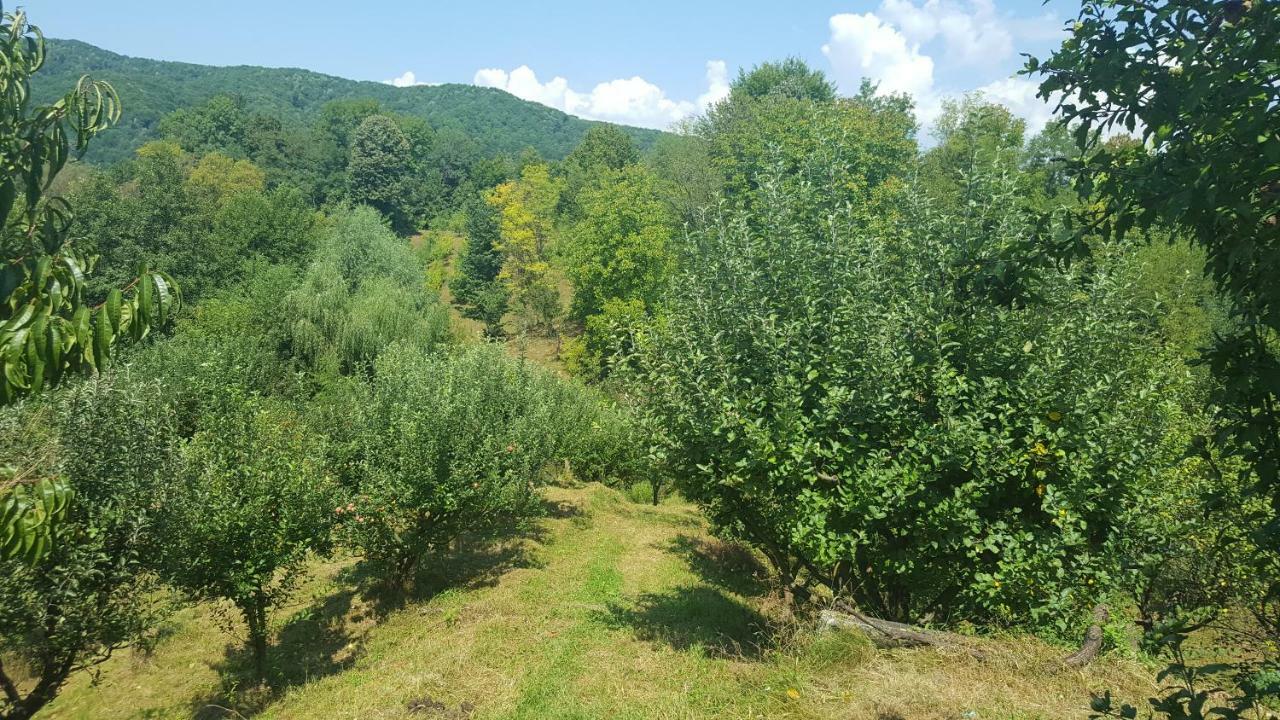 Casa Adelina Villa Valea Lunga-Cricov Екстериор снимка