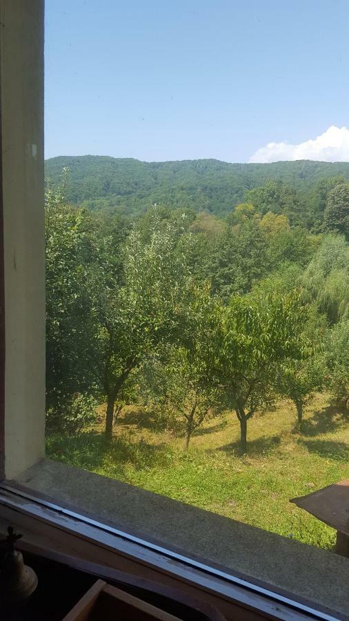 Casa Adelina Villa Valea Lunga-Cricov Екстериор снимка